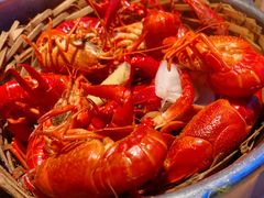 高压锅蒸大虾-蚝翅·海鲜粥·烧烤·宁夏滩羊季(玉米楼店)