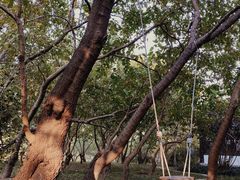 -长兴太湖图影湿地文化园