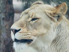 -鄂尔多斯野生动物园