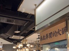-洪氏嗨捞·猪肚鸡火锅(阳光天地店)