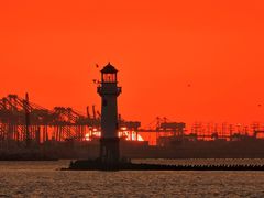 -上海吴淞炮台湾国家湿地公园