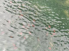 -蠡湖大桥公园
