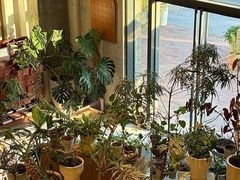 -有序Orderly融合西餐·咖啡(运河外滩店)