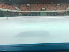 -松江大学城体育馆滑冰馆