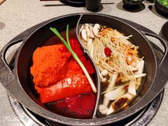 -园里火锅(仁和新城店)