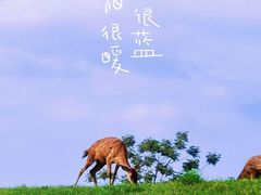 -良渚古城遗址公园