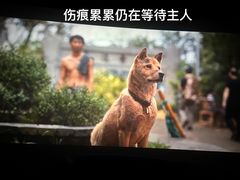 -金逸影城(影视中心IMAX店)