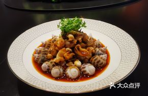 Premium Mei Ji Horn Snail