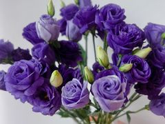 -循礼门鲜花花市(武汉循礼门店)