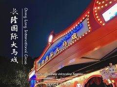 -广州长隆国际大马戏