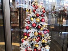 -北京中国大饭店