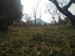 -清溪水库