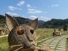 -福建土楼（华安）旅游区•大地土楼群