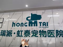 -虹泰宠物医院 ·旗舰店·24h(南秀路店)