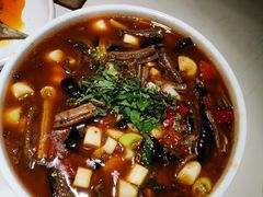 -院8里·小聚园老川菜(九眼桥店)