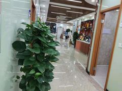 -茂菊口腔连锁(浦东南路店)
