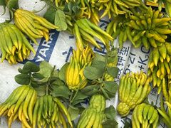 -太平天国侍王府