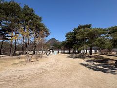 -景福宫