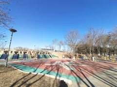 -大兴滨河森林公园