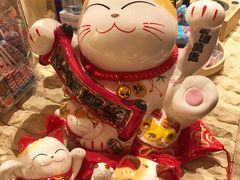 -猫相扑零食杂货铺(欧洲城店)