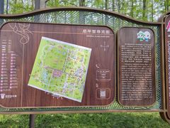 -东平国家森林公园