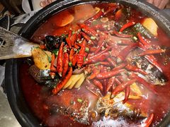 凌波鱼+毛血旺-探鱼·鲜青椒爽麻烤鱼(北京路天河城店)
