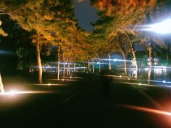 -钓鱼台国宾馆餐厅·宴会厅