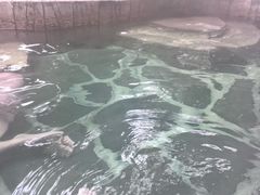 -龙达温泉生态城