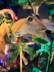 -恐龙探索乐园(磁器口店)