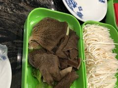 -蚝专家