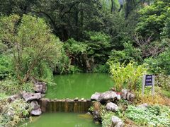 -杭州西湖风景名胜区-三生石