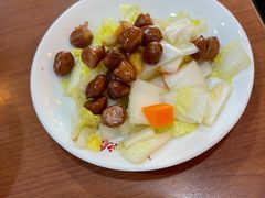 -鸿毛饺子(紫竹桥店)