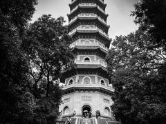 -灵谷景区