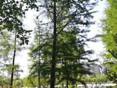 -滨湖塘西河公园