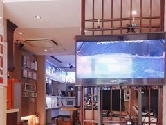 -天猫养车贴膜轻改·蓝电(优匹康桥东路店)