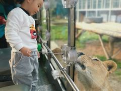 -西安秦岭野生动物园