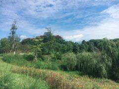 -白鹭湾湿地公园