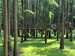 -青山湖景区