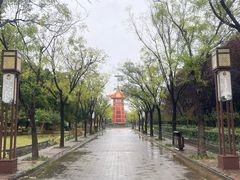 -洛阳市隋唐城遗址植物园