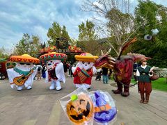-哈尔滨波塞冬海底世界