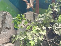 -吉林省自然博物馆