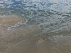 -惠州金海湾嘉华度假酒店