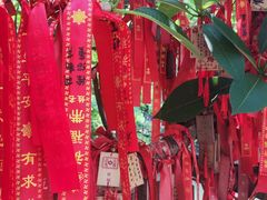 -小洲村