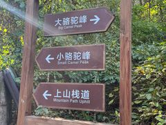 -大岭沟猕猴桃谷风景区
