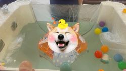 -爱贝蕊恩韩式月子会所(宝安店)