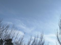 -东方华地城湿地温泉度假区
