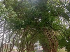 -同里国家湿地公园