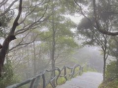 -梧桐山风景名胜区