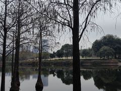 -深圳龙潭公园