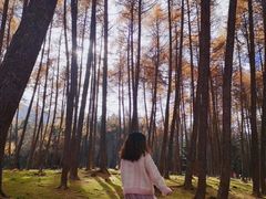 -硗碛藏寨·神木垒景区